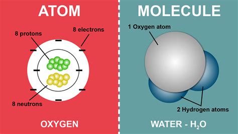 molecule vs atom